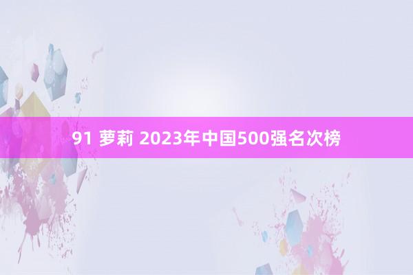 91 萝莉 2023年中国500强名次榜