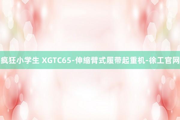 疯狂小学生 XGTC65-伸缩臂式履带起重机-徐工官网