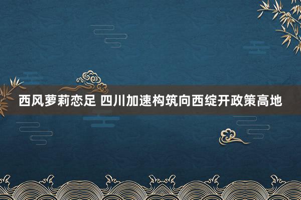 西风萝莉恋足 四川加速构筑向西绽开政策高地