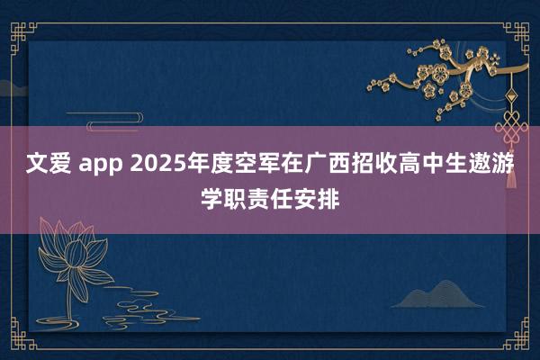 文爱 app 2025年度空军在广西招收高中生遨游学职责任安排