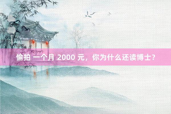 偷拍 一个月 2000 元，你为什么还读博士？