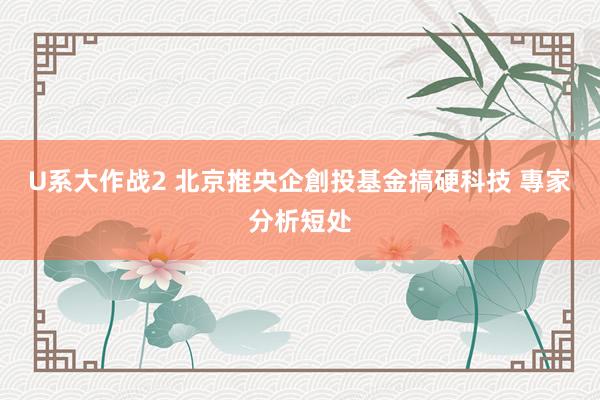 U系大作战2 北京推央企創投基金搞硬科技 專家分析短处