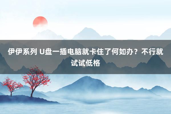 伊伊系列 U盘一插电脑就卡住了何如办？不行就试试低格